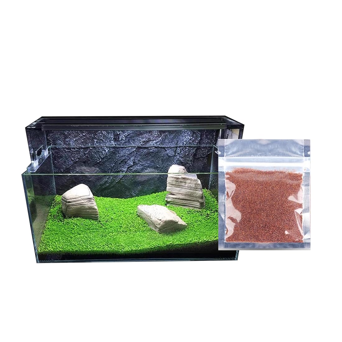 ［確認用］水生植物　苗 Amazon.co.jp: アクアリュム用品 水草シード 10gセット 水槽飾り