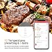 Inkbird IBT-2X 4.0 Termometro Barbacoa Digitales Termómetros de Cocina Bluetooth Termometro con...