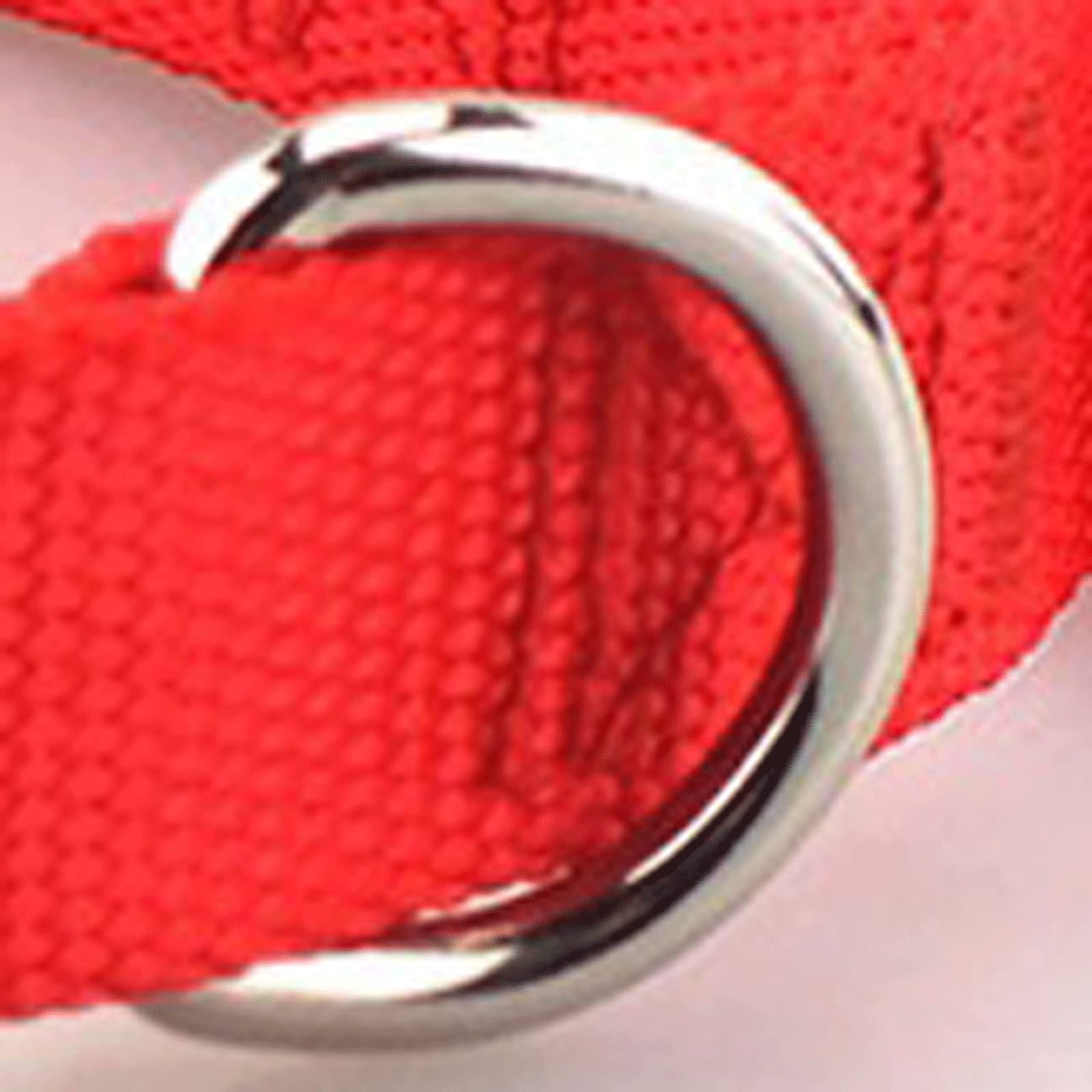 Collari per Cani di Base Collare per Cani in Nylon Regolabile con Fibbia ad Artiglio Resistente Collare per Animali Domestici per Cani di Piccola e Media Taglia Rosso Nero Blu Viola