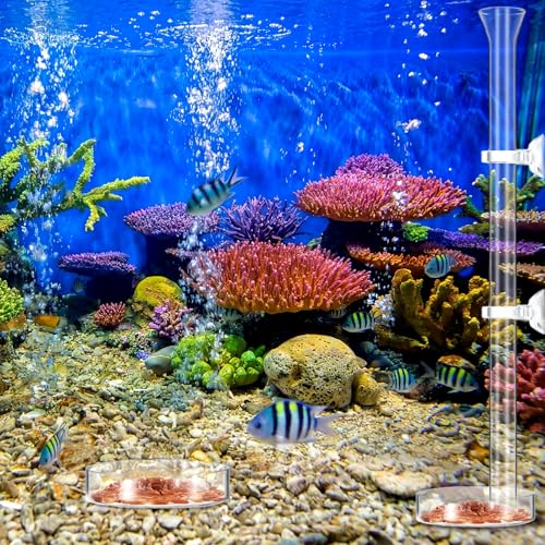 Image of CHENGU 3 Pieces Shrimp Feeding Tube and Dish Set, 14 Inch Glass Shrimp Feeder Tube and 2 Aquarium Dish Bowl Fish Tank Feeding Supplies for Fish Tank Aquarium