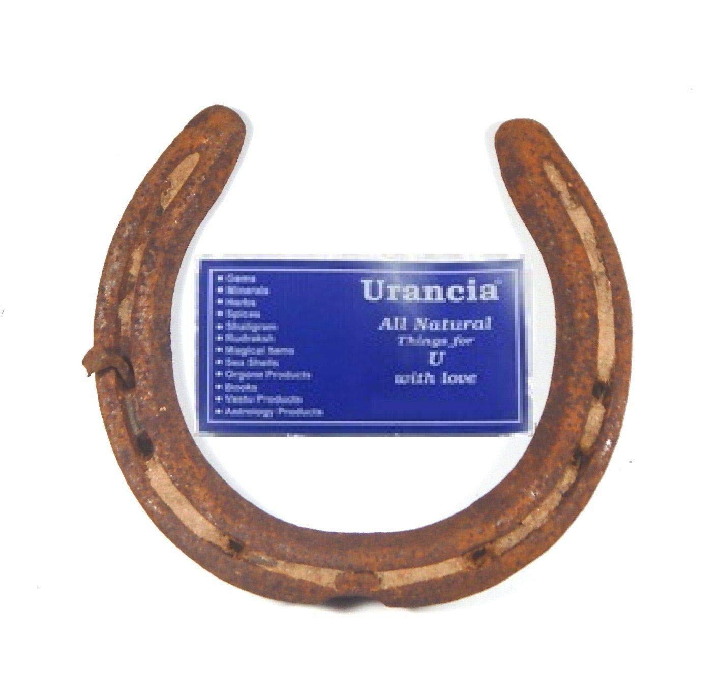 phoenix888 Big Size Kale Ghode Ki Naal with Nails Black Horse Shoe 10 Years Old for Vaastu