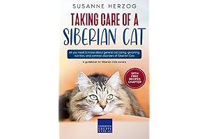 Siberian Cat: A Guide to Caring for Your Feline Friend