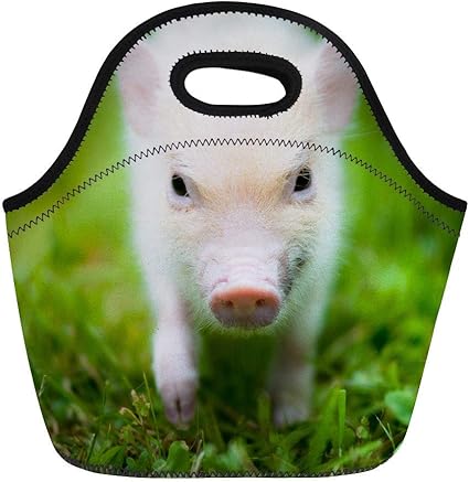 Amazon ランチバッグスウィートグリーンミニブタかわいい子豚のミニ豚の肖像画ネオプレンランチバッグ弁当箱トートバッグポータブルピクニックバッグクーラーバッグ ランチバッグ ランチ巾着 ランチベルト オンライン通販