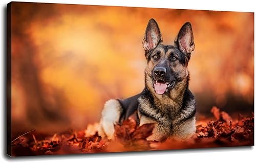 Miniatura 1 de SGRACE Póster de pastor alemán con diseño de animales domésticos del bosque otoñal, arte de pared para decoración del hogar y la oficina con marco,