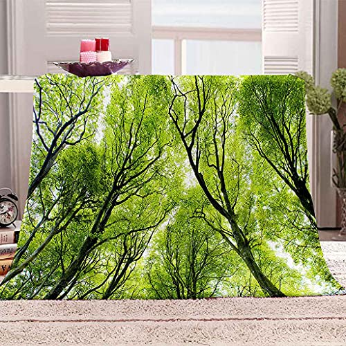 Couverture impression 3D forêt verte pour une ambiance cocooning au salon - 2