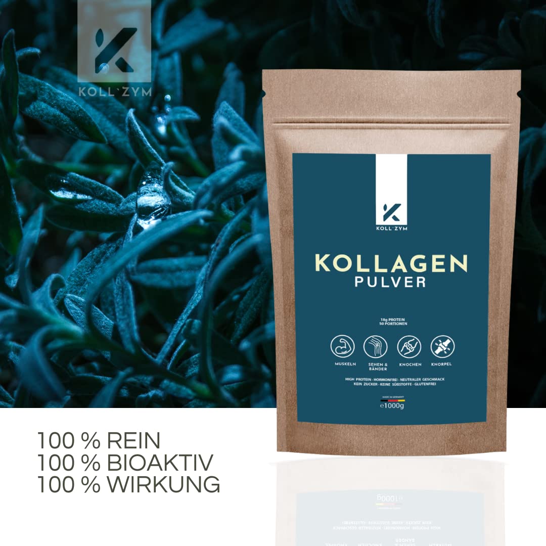 Collagene Polvere 1 kg • 100% collagene idrolizzato • Polvere proteica insapore • Sport collagene bioattivo • Senza additivi • Made in Germany [1000 g]