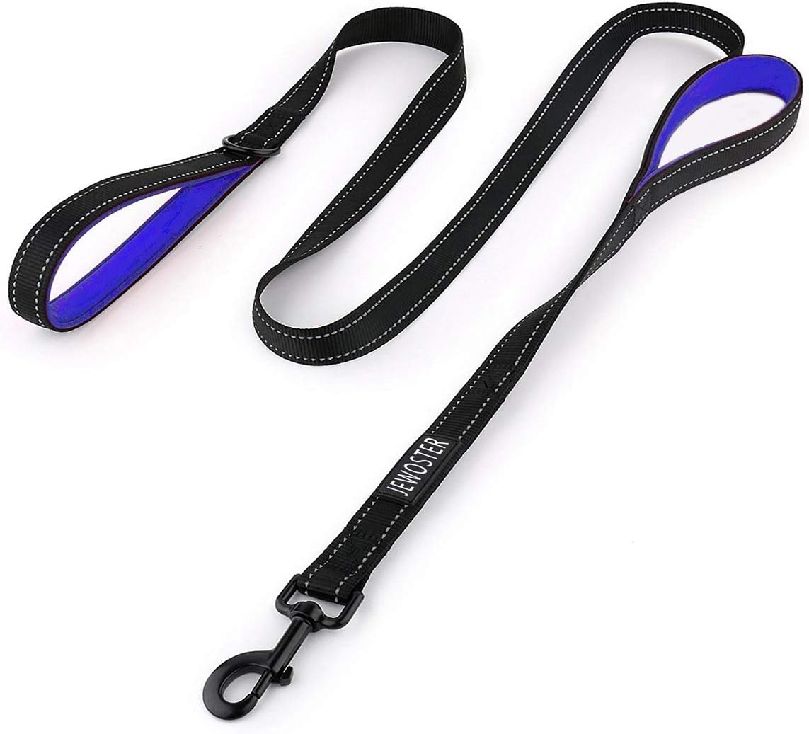 Dog Leash Heavy Duty - 2 Handles by Padded Traffic Handle for Extra Control, 6foot Long - Perfect for Medium to Large Dogs (6 ft, Black Blue)