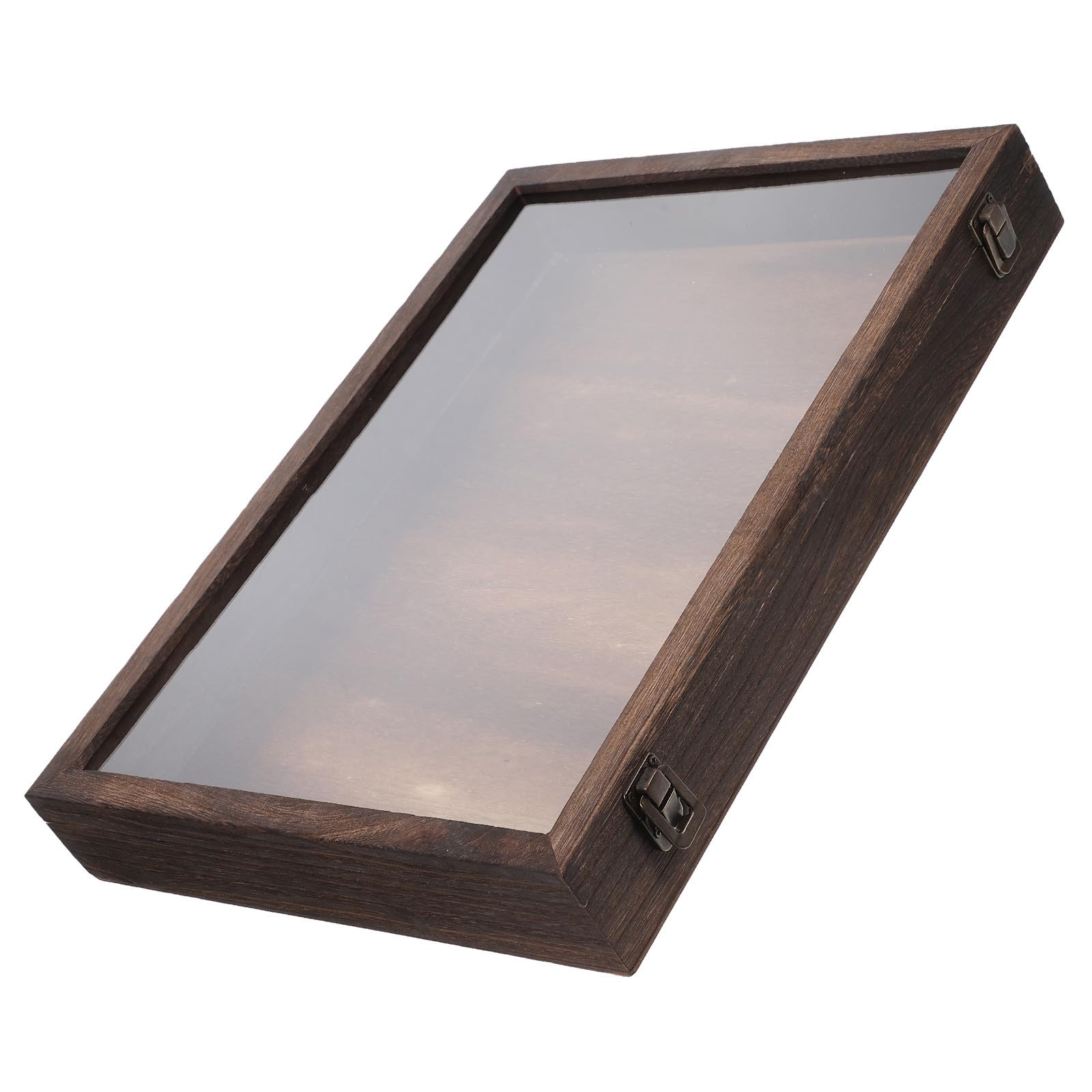 Caja de Exhibición Marrón de Madera Cubierta Transparente de Especímenes Gran Capacidad y Diseño Rectangular Elegante para Mostrar y Especímenes