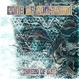 PsyconFest Records