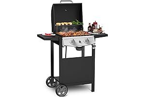 Propane Gas Grill 21000 BTU Outdoor Modern Home BBQ Grill
