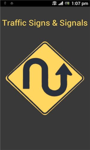 Driving Licence Test