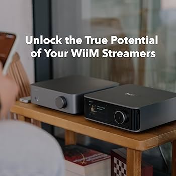 【値下げ不可】wiim amp Amazon.co.jp: 【直輸入品】WiiM Vibelink Amp｜100Wパワー