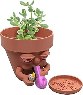 Funny Flower Growing Pots - Art Decoration Cactus Holder Succulent Planter Flower Pot - Garden Pots Decorative Flower Pot Succulent Holder Cactus Vase for Balcony Ziyuan
