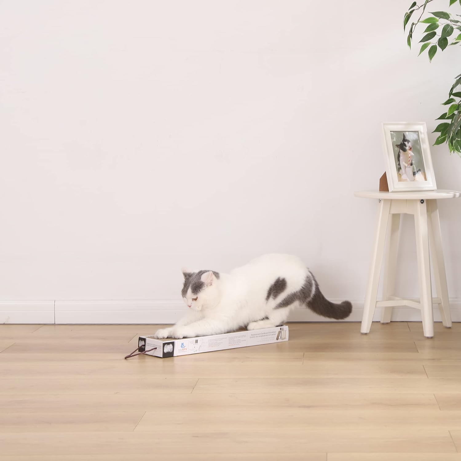 review Cat Craft Replacement or Hanging Corrugate Cardboard Cat Scratcher with Catnip