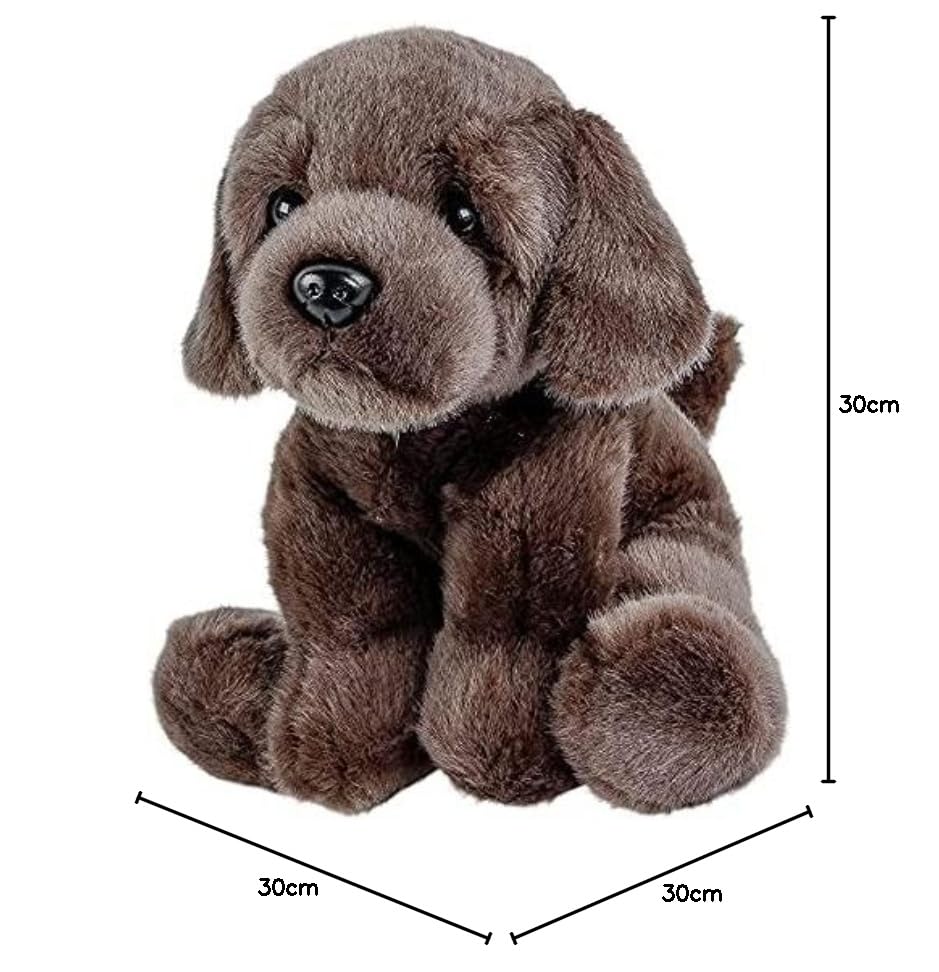 Teddys Rothenburg Labrador Kuscheltier Hund Schokobraun sitzend 30 cm Plüschtier