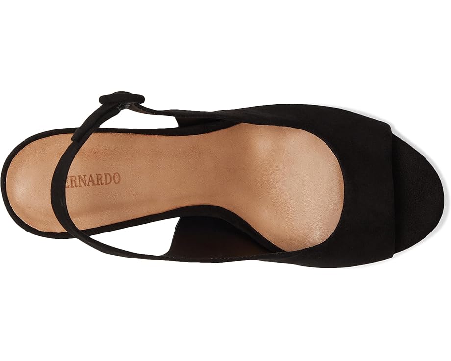 Bernardo Vega - Top View