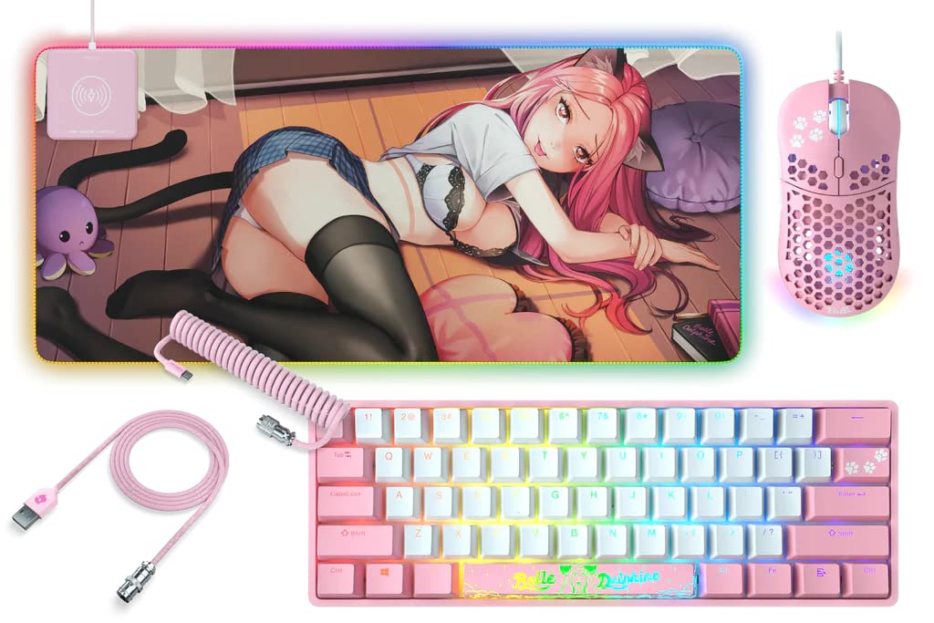 Clutch Belle Delphine P1 XL Combo A1 Aluminium