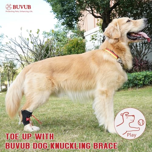 Image of Dog Canine Knuckling Brace Rear Leg Dog Foot Brace Wrap for Toe Dragging Cause by Sciatic Nerve Insufficiency, Myelopathy, Herniated Disc (XLarge)