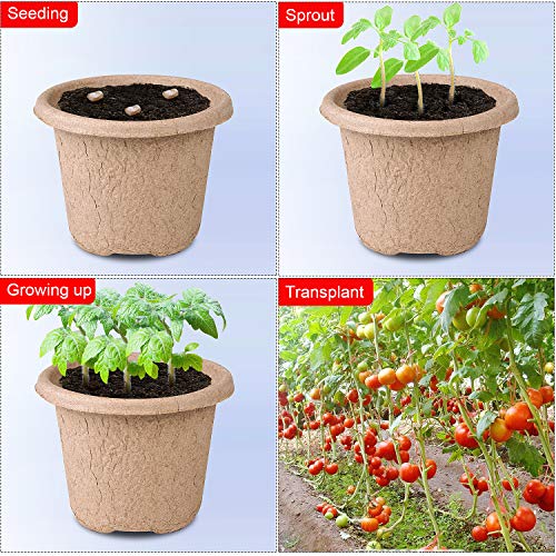 Angtuo Grow Healthy Plants 30 Pcs Eco-Friendly Peat Pots For Seedlings - 4.33 Inch Biodegradable Seed Starter Pots With Drainage Holes And 20 Plant Labels #TOP4