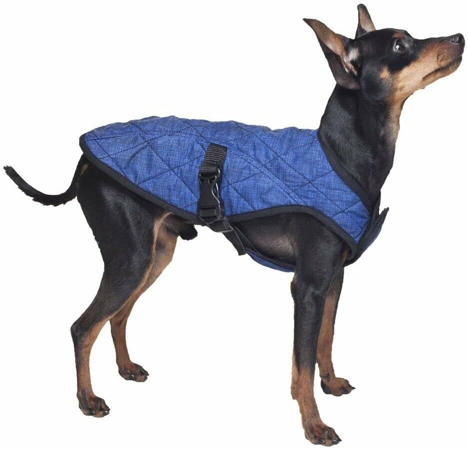 UC Dog Cooling Jacket, Medium, Blue, Polyester, 15+ lbs, Adult, Summer, Sports, Pull On, Round Neck, Machine Wash