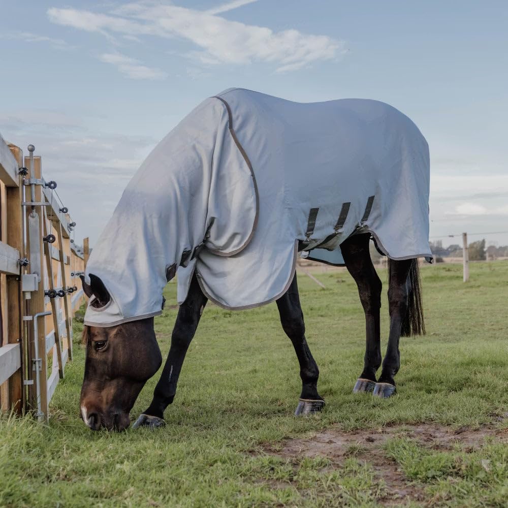 Kentucky Horsewear - Ekzemerdecke - Decke mit Halsteil - Grau - 145-6’6