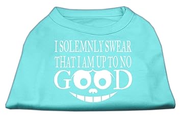 Mirage Pet Products Up to No Good Screen Print Shirt Aqua Sm (10)
