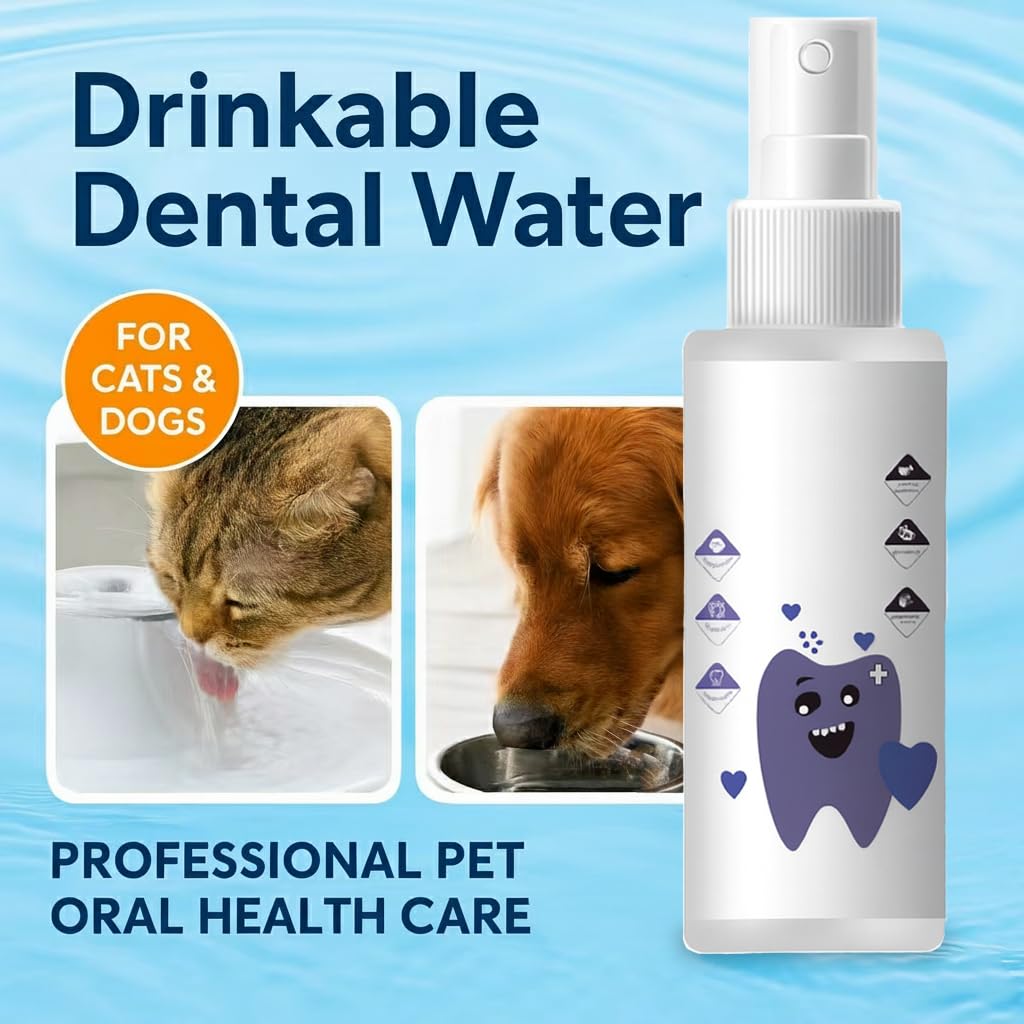 PawBright Dental+ Plus Water Additive for Dogs & Cats - Daily Oral Care to Freshen Breath, Clean Teeth & Maintain a Fresh Mouth, Odorless & Flavorless, 8oz. - image 4