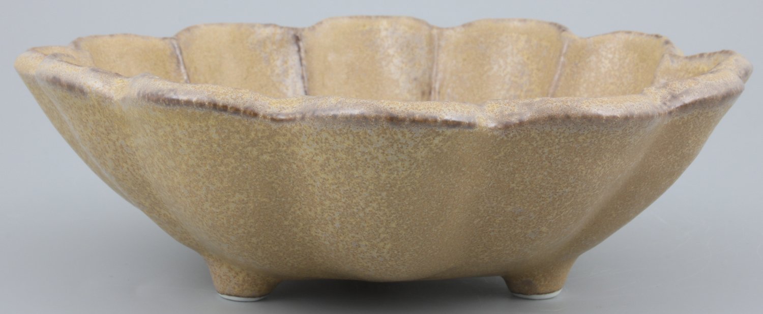 Amazon｜美濃焼 カネコ小兵 「 リンカ 」 ボウル 皿 中鉢 茶 練輪花