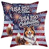 Informations sur le produit : le paquet contient un lot de 2 taies d'oreiller décoratives. (Le paquet ne contient que des taies d'oreiller, et il y a des motifs sur le devant uniquement)