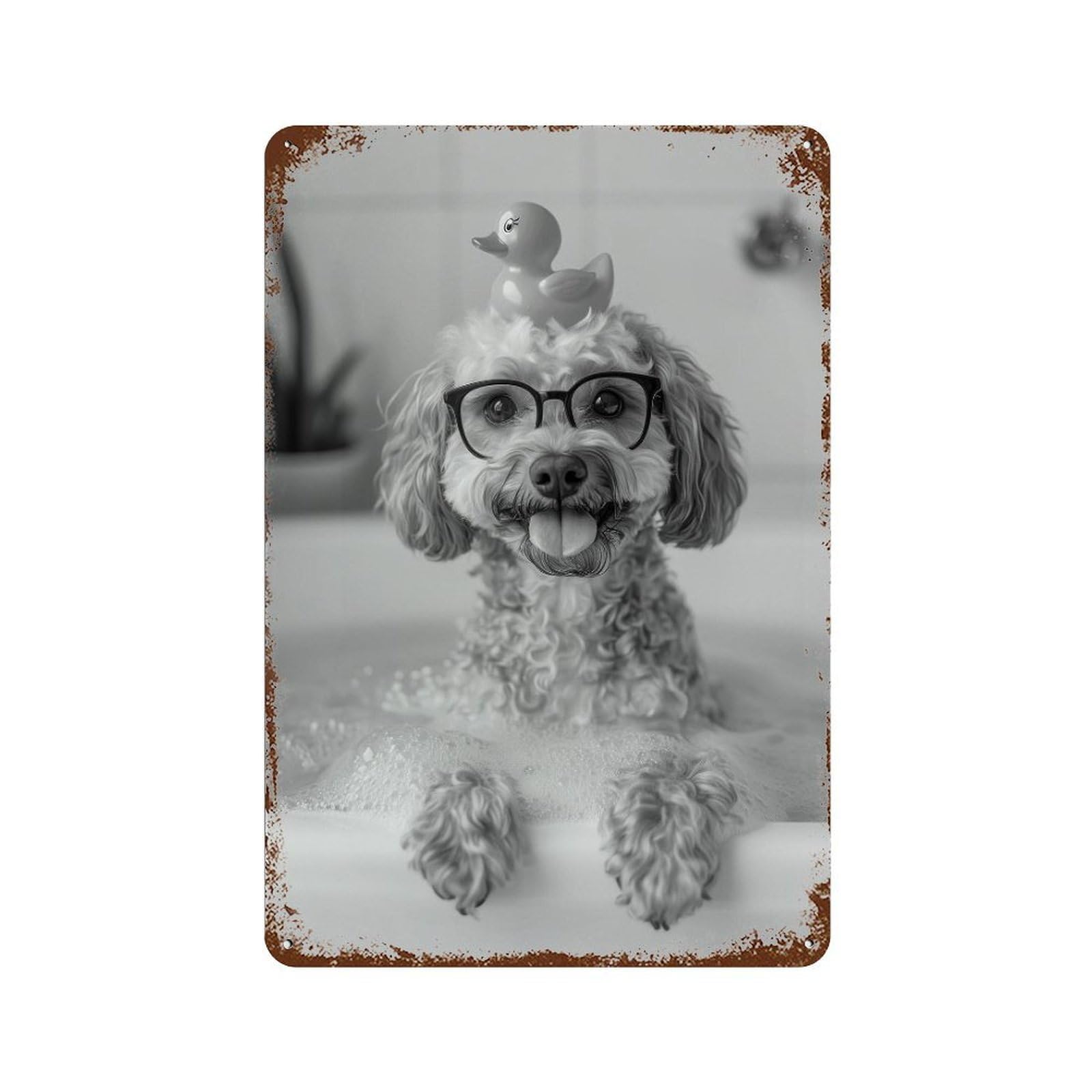 xiaoxiaoshen Cavapoo Bath Wall Art Wall Decor Art Metal Tin Poster Modern Home Decor Art Home Bar Shop Decorations Vintage Sign 30x20cm