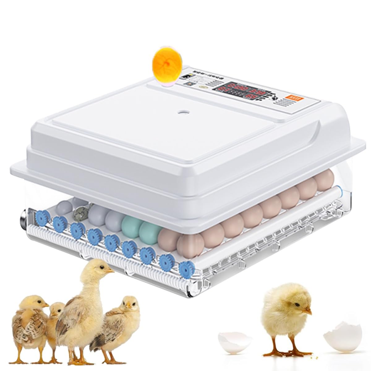 Incubateur d'œufs automatique de 48 pièces avec contrôle de température