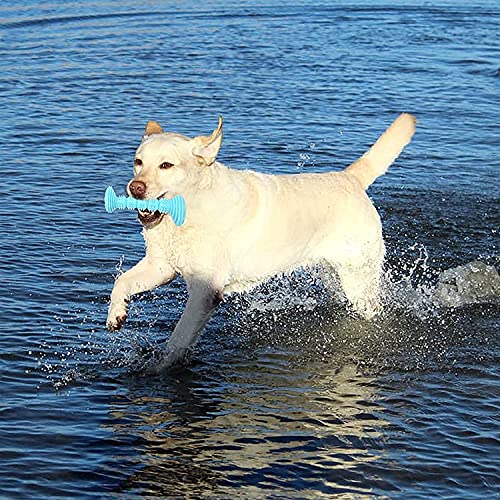 Hundespielzeug Kauspielzeug für Kleine und Mittlere Hunde - Hundezahnbürste Zahnpflege Zahnreinigung - Welpen Zahnen Kauen Spielzeug 3 Stück