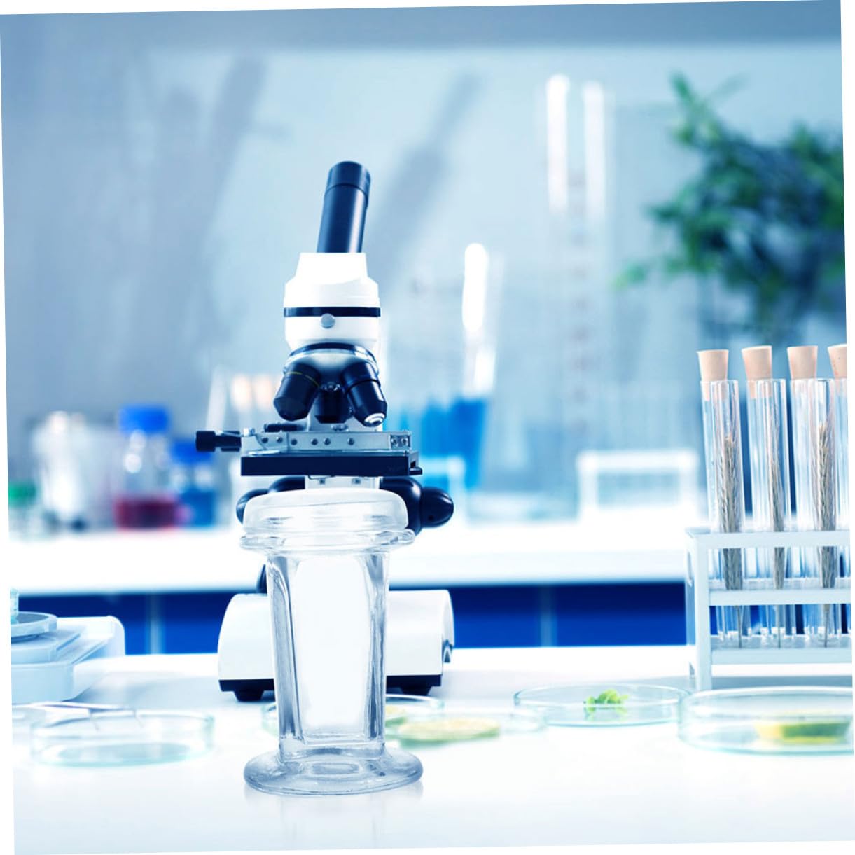 BESTYASH 3 piezas Tarro de Tinción de Vidrio con Tapa para Laboratorio Capacidad para Portaobjetos Frascos para Tinción Biológica y Experimentos Científicos Tarro Transparente para