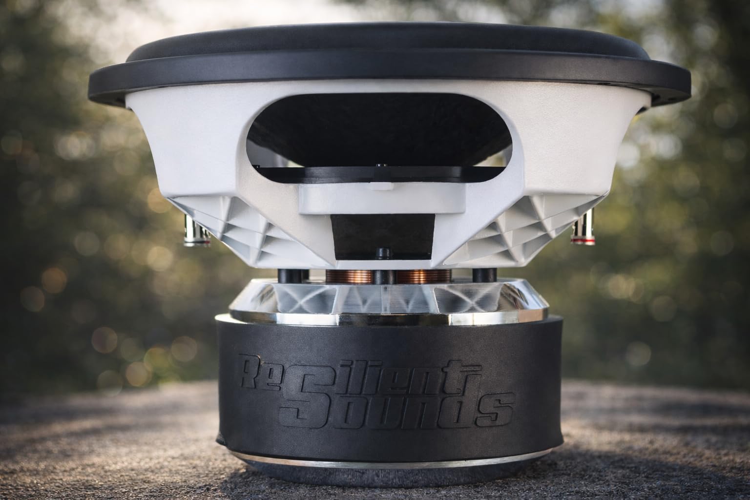 Resilient Sounds Platinum 15 (Dual 2 Ohm)