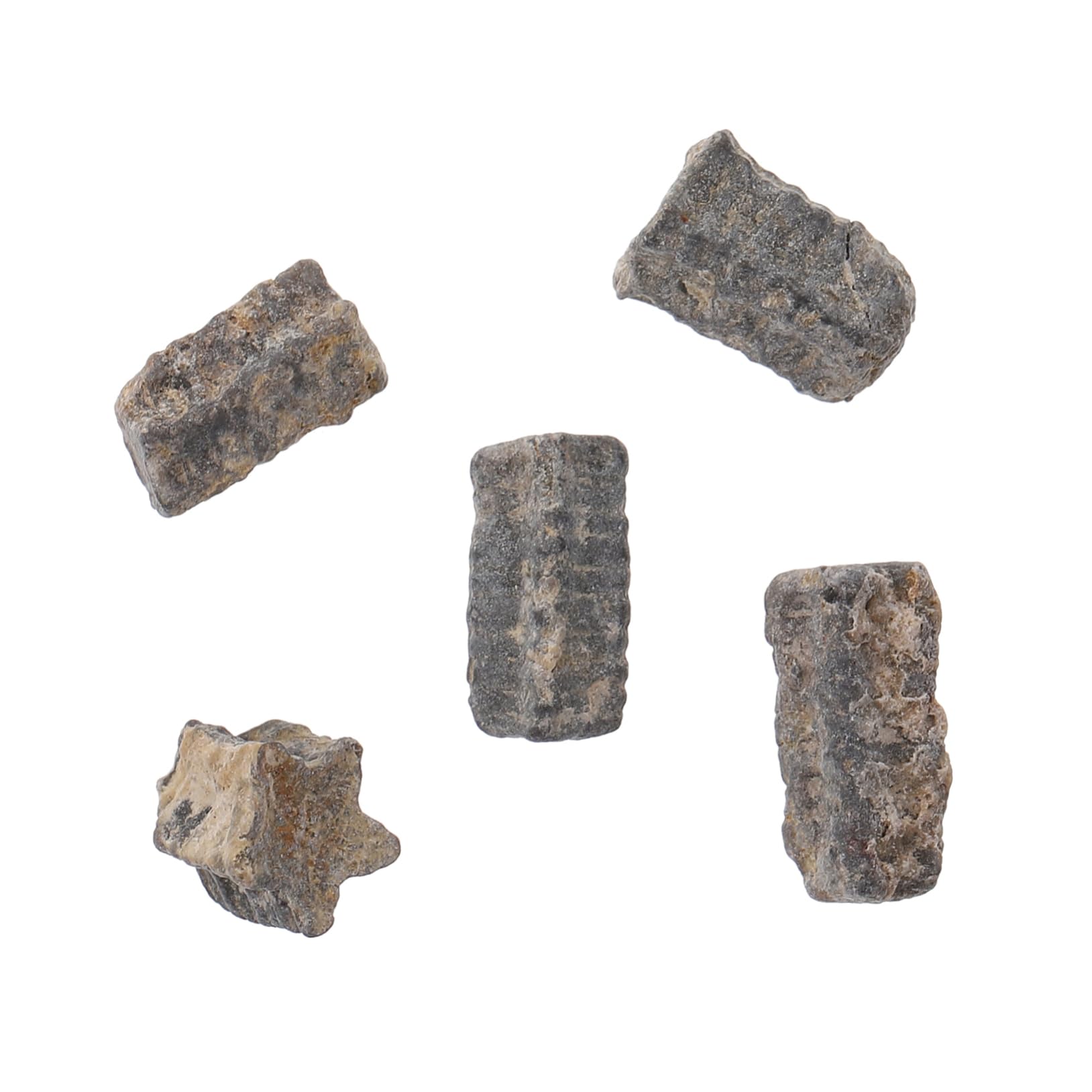 PartyKindom Educational Plaything: Realistic Sea Supplies Develop Creativity for Children