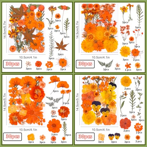 Kit de flores prensadas secas para manualidades miniatura 2