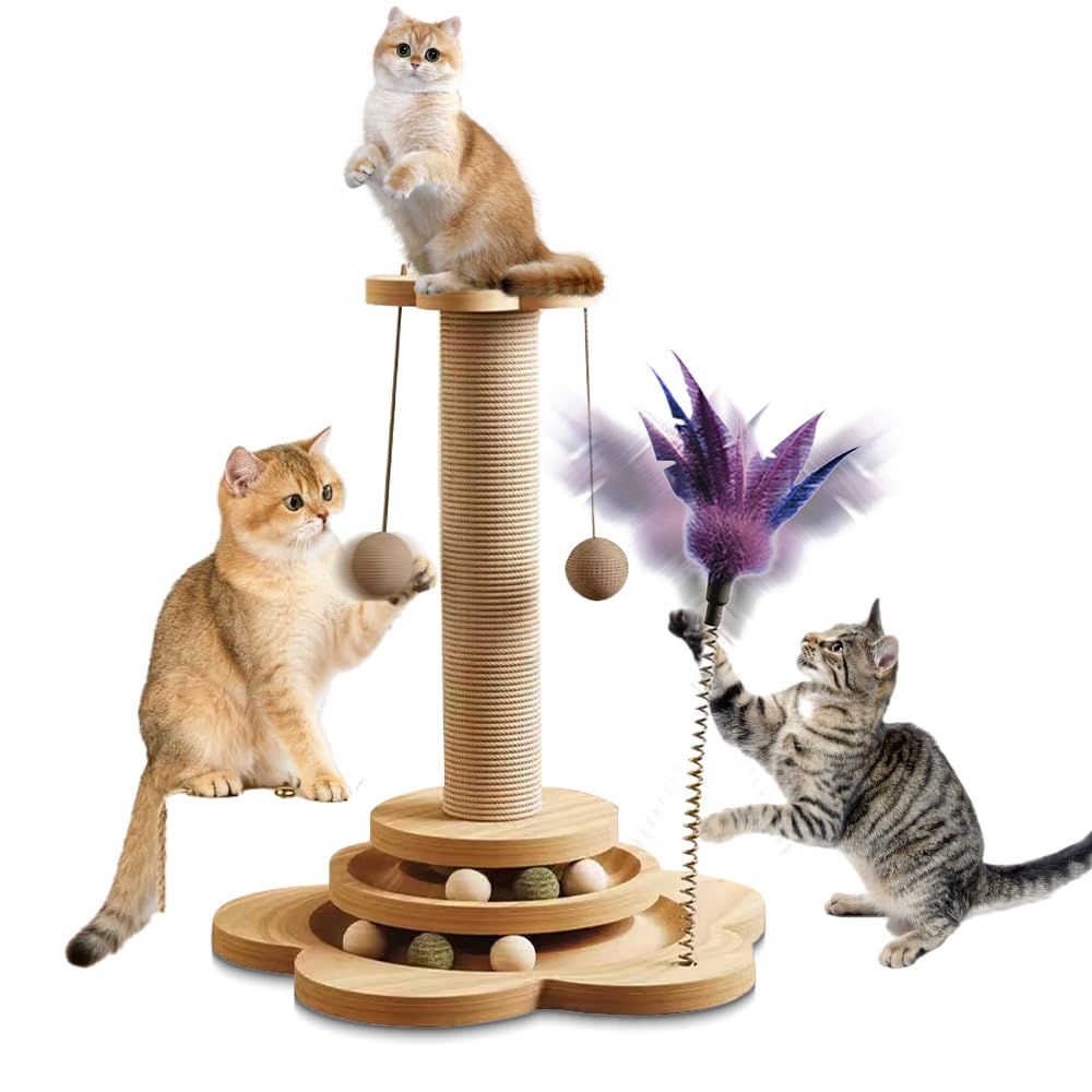Jouet pour Chat Intérieur en Bois 4 en1,50CM Colonne De Griffe D'intérieur en Bois,Arbre à Chat avec Jouets,Arbre à Griffoir Corde en sisal avec Balle Tournante, Plumes, pour Chats