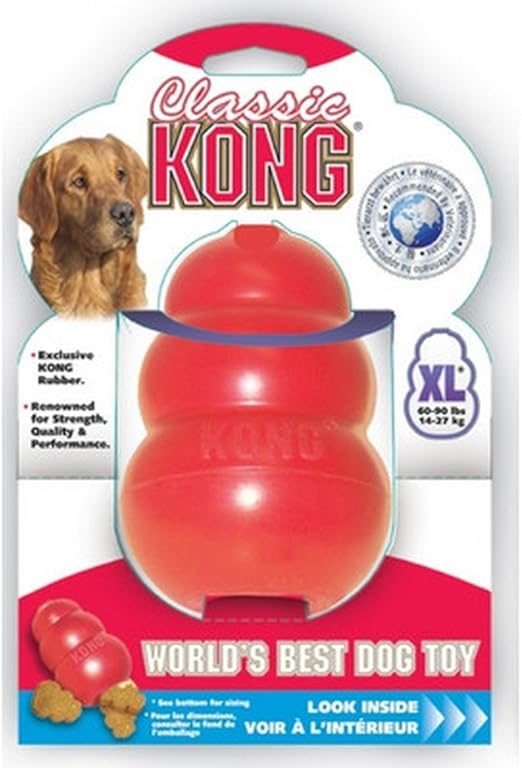 kong for dogs amazon