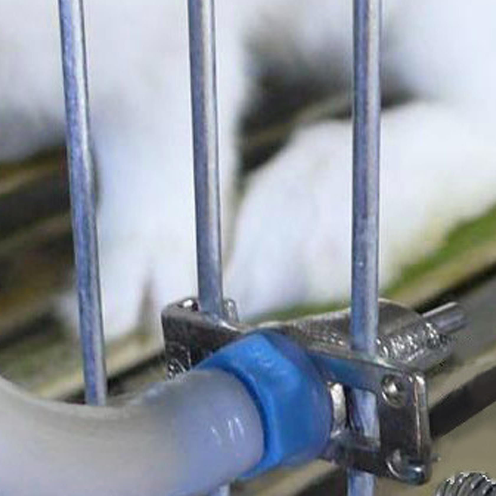 Capezzolo erogatore di acqua per conigli, sistema di irrigazione per conigli da 50 pezzi, capezzolo di alimentazione automatica, abbeveratoio per furetto di cavia coniglietto, giardino