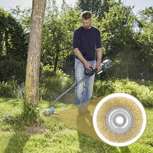 Donlala Gloria Multibrush Fugenbürste, 4er-Set, kompatibel mit Gloria Multibrush und Weedbrush, Gartenfugenbürste, Fugenkratzer 10 cm Durchmesser - Hochwertige Messingbürste