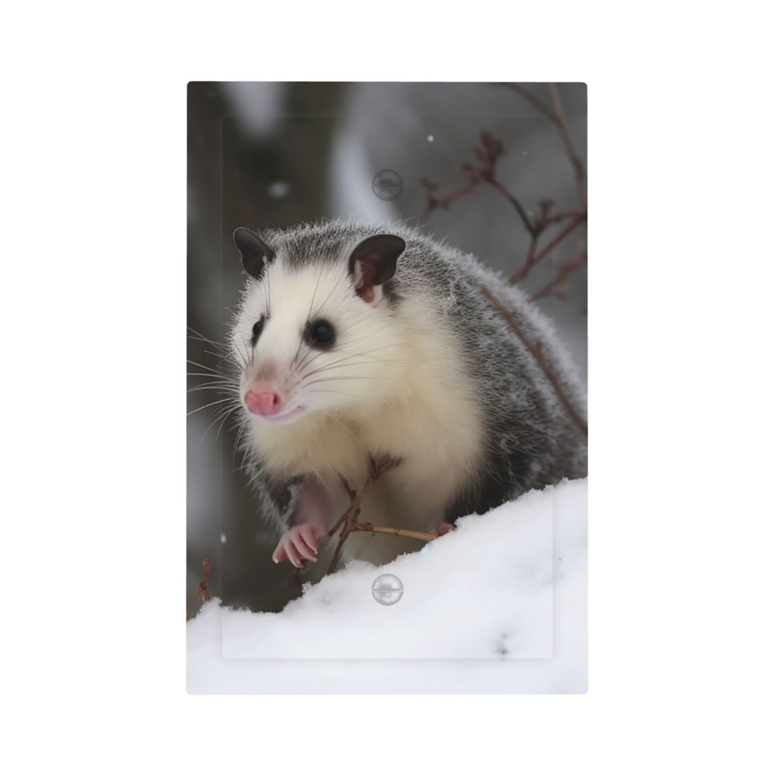 1-Gang Decorator Wall Plate Opossum In Snow Light Switch Cover Single Gang Receptacle Outlet Wall Plate Mid Size 5" x 3" Wallplate Unbreakable Polycarbonate Outlet Faceplates Covers