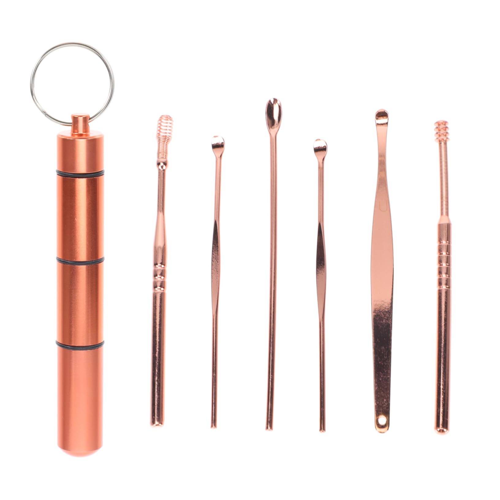 1set Portable Stainless Steel Ear Wax Cleaning Tools Kit Ear Care for Removal of Dry Oily Earwax Lightweight