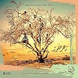 Digital Arabic Repertoire and Network Aggregator (DARNA)