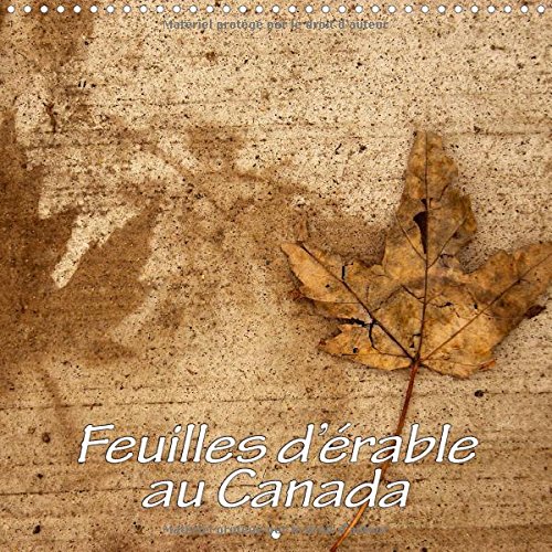 Feuilles d'érable au Canada 2016: La beauté des feuilles d'érable