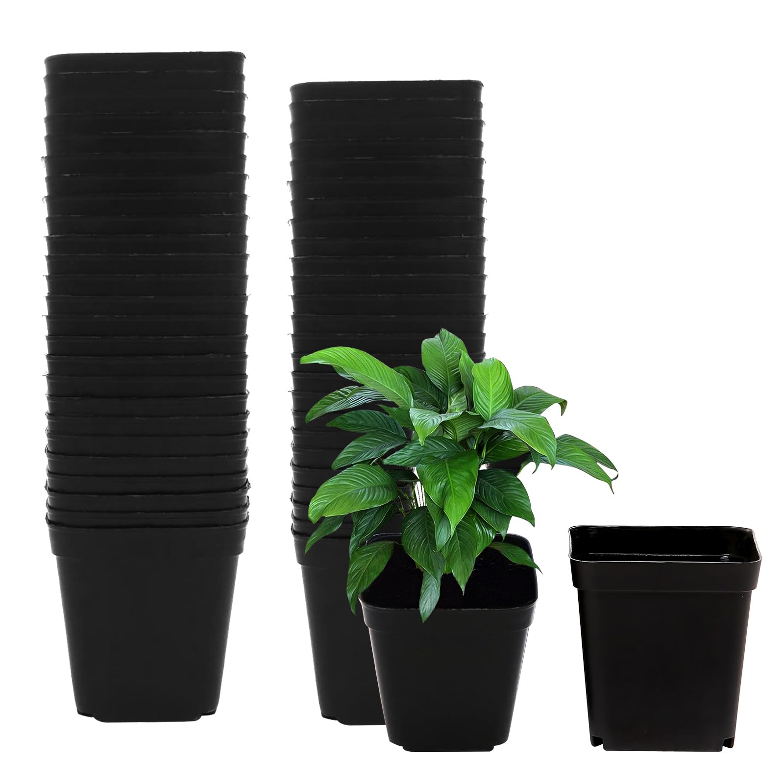 Amazon.co.jp: 【120個セット】育苗ポット 植物育児用ポット 7×7.5cm