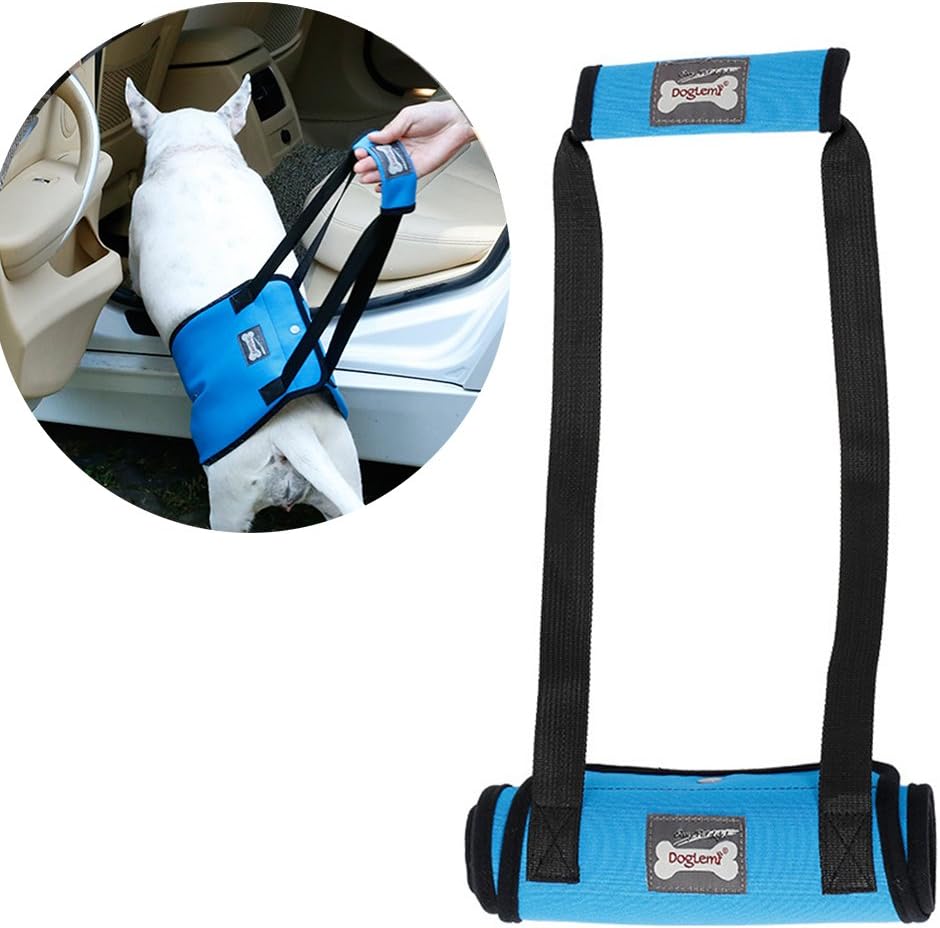 Santune Dog Lifting Harness Portable Lift Sling Support for Medium Dogs Front or Rear Legs Walking Mobility Rehabilitation from Injured Disable (Blue,M)