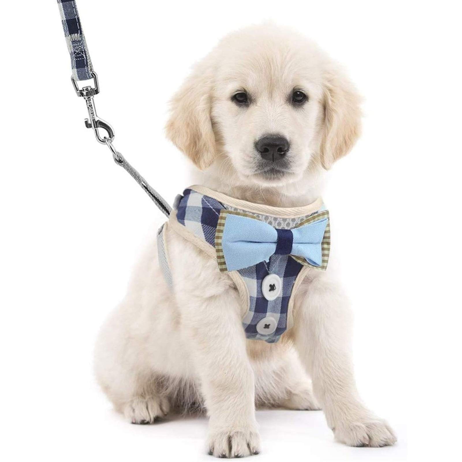Dhgtep Blue Dog Vest Harness And Leash Set Adjustable Vest Harness With Breathable Mesh Cute Plaid Harness With Bowtie For Dogs (Color : Size : Medium)