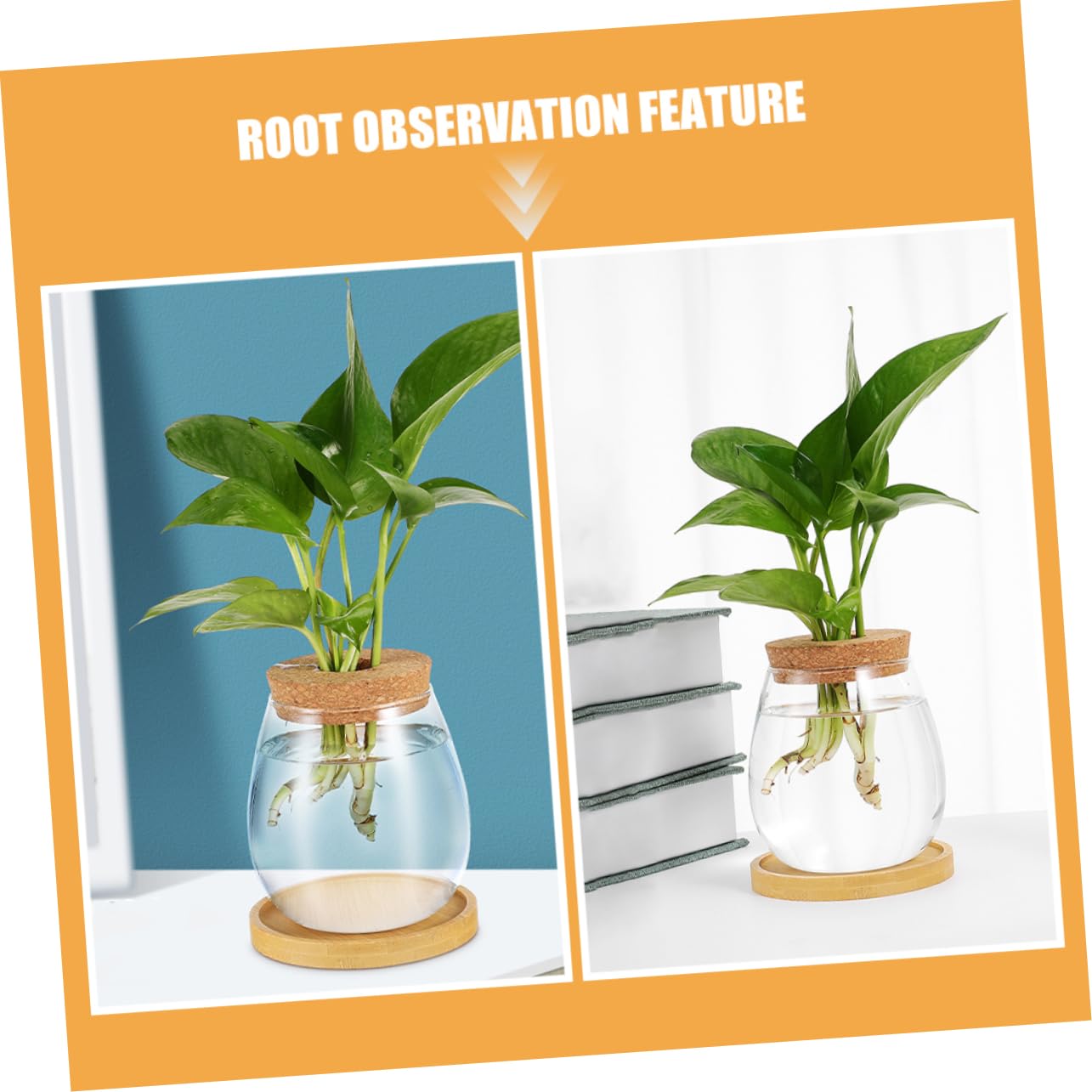Gatuida 2ensembles Vase De Propagation Eau Verre Transparent Lot de Pots Hydroponiques pour Plantes Intérieur avec Support De Table