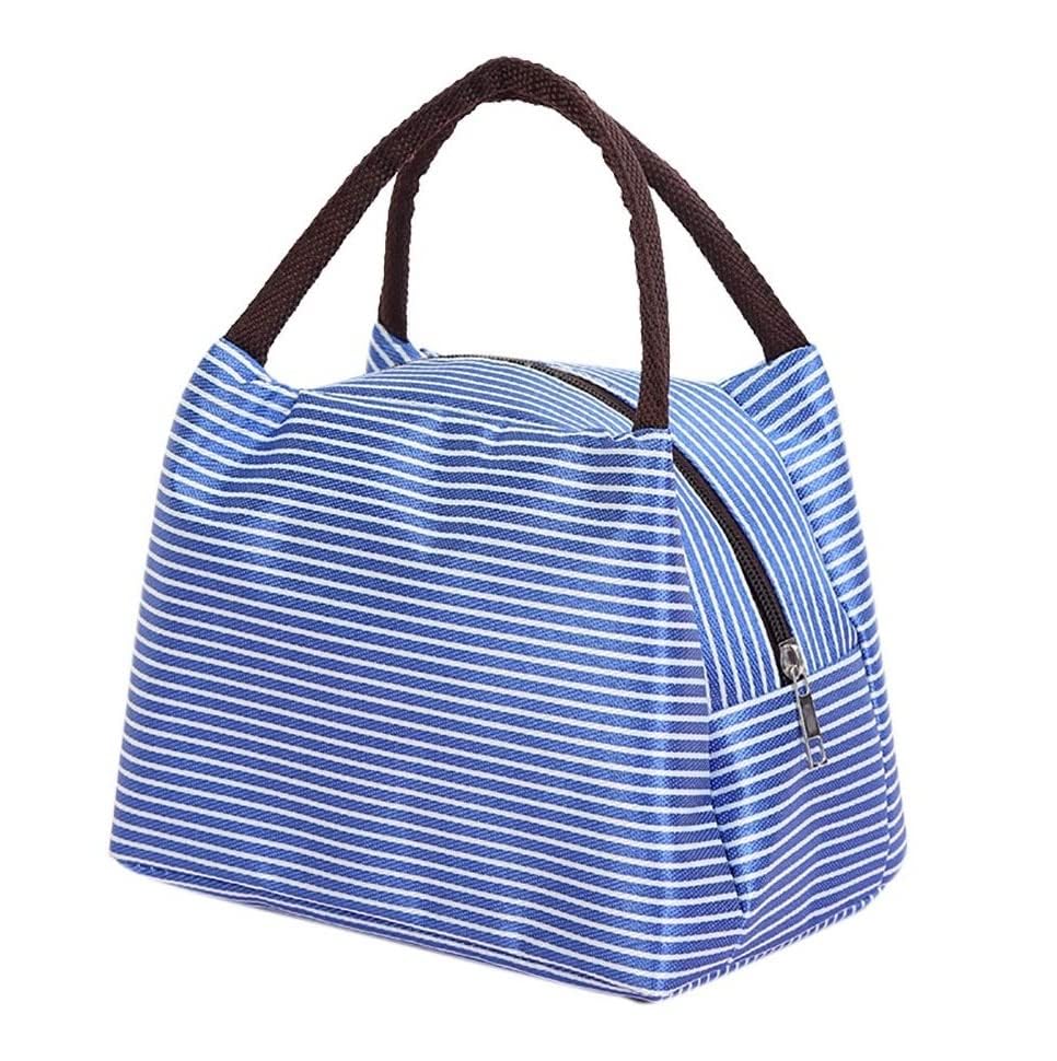 Starflyer Insulated Lunch Bag Women Girls, Reusable Cute Tote Lunch Box for Adult & Men, Leakproof Cooler Lunch Bags for Work Office Travel School Picnic. (Blue Strip)-image-32