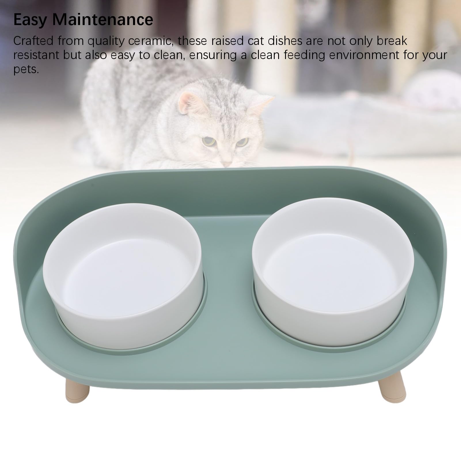 Gamelle surélevée pour Chat, gamelles surélevées en céramique pour Chat avec Support, Protection de la Colonne cervicale, Ensemble de gamelles pour Nourriture et Eau